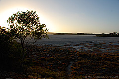 070226 Australia 2007 - Photo 0540