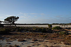 070226 Australia 2007 - Photo 0541