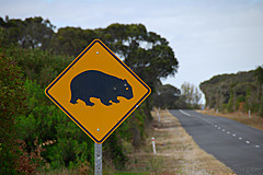 070226 Australia 2007 - Photo 0563