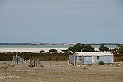 070226 Australia 2007 - Photo 0564