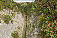 070226 Australia 2007 - Photo 0565