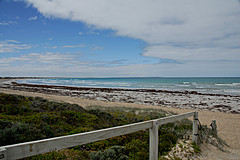 070226 Australia 2007 - Photo 0568