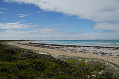 070226 Australia 2007 - Photo 0569