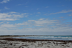 070226 Australia 2007 - Photo 0571