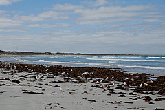 070226 Australia 2007 - Photo 0573