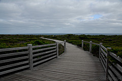 070226 Australia 2007 - Photo 0622