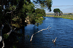 070226 Australia 2007 - Photo 0759