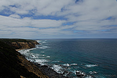 070226 Australia 2007 - Photo 0778