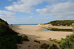 070226 Australia 2007 - Photo 0808