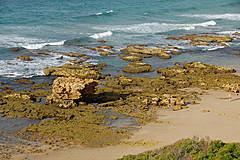 070226 Australia 2007 - Photo 0810