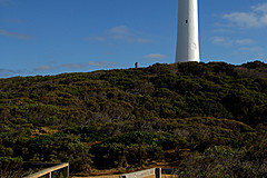 070226 Australia 2007 - Photo 0820