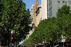 070226 Australia 2007 - Photo 0874
