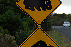 070226 Australia 2007 - Photo 0923