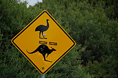 070226 Australia 2007 - Photo 0924