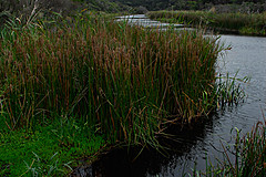 070226 Australia 2007 - Photo 0925