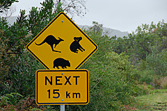 070226 Australia 2007 - Photo 0927