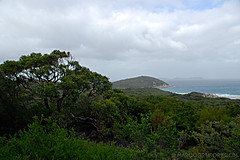 070226 Australia 2007 - Photo 0931