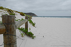070226 Australia 2007 - Photo 0942