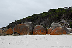 070226 Australia 2007 - Photo 0943