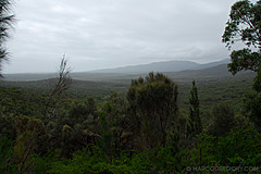 070226 Australia 2007 - Photo 0958