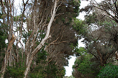 070226 Australia 2007 - Photo 0960