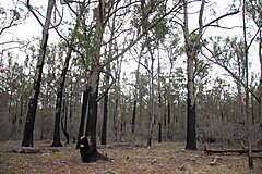 070226 Australia 2007 - Photo 0977