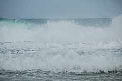 070226 Australia 2007 - Photo 0992