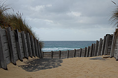 070226 Australia 2007 - Photo 1005