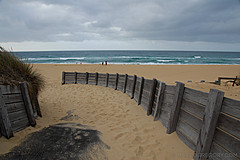 070226 Australia 2007 - Photo 1006