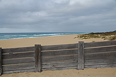 070226 Australia 2007 - Photo 1007
