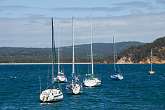 070226 Australia 2007 - Photo 1026