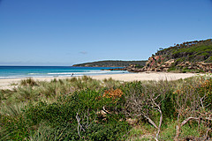 070226 Australia 2007 - Photo 1028