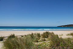070226 Australia 2007 - Photo 1031