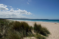 070226 Australia 2007 - Photo 1032