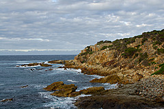 070226 Australia 2007 - Photo 1038