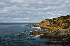 070226 Australia 2007 - Photo 1039