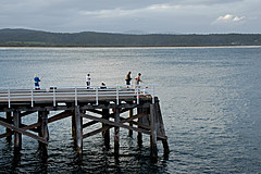070226 Australia 2007 - Photo 1040