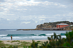 070226 Australia 2007 - Photo 1042