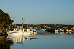 070226 Australia 2007 - Photo 1056