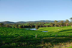 070226 Australia 2007 - Photo 1059