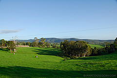 070226 Australia 2007 - Photo 1060
