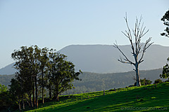 070226 Australia 2007 - Photo 1061