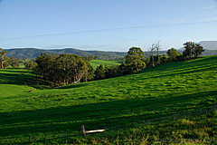 070226 Australia 2007 - Photo 1063