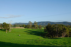070226 Australia 2007 - Photo 1064