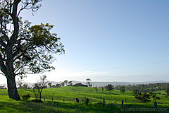 070226 Australia 2007 - Photo 1066