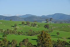 070226 Australia 2007 - Photo 1069