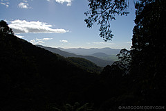 070226 Australia 2007 - Photo 1072