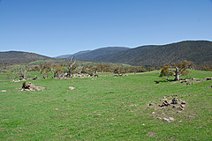 070226 Australia 2007 - Photo 1078