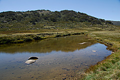 070226 Australia 2007 - Photo 1081