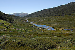 070226 Australia 2007 - Photo 1085